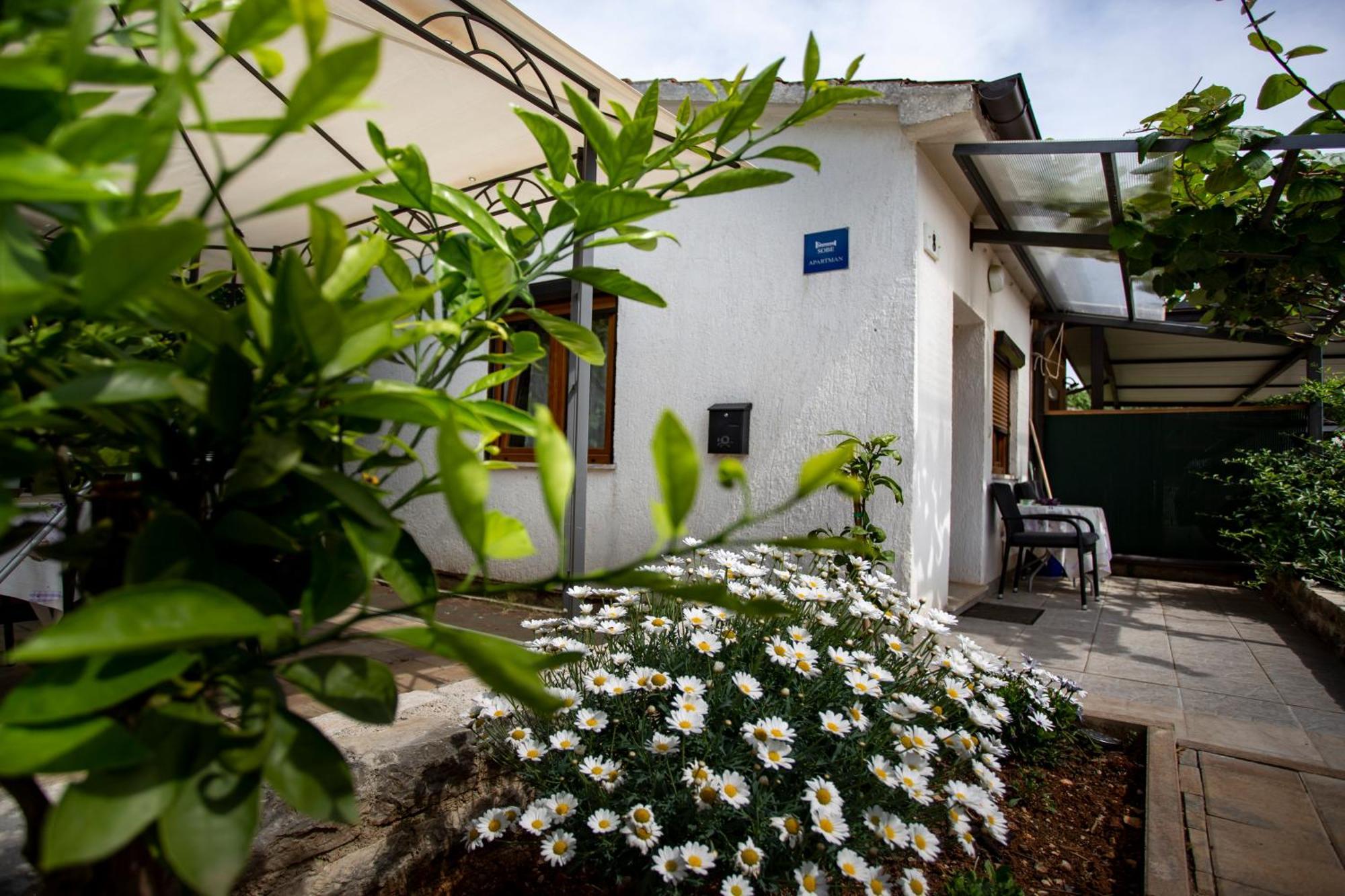 Apartments Ina & Ika Rovinj Exteriér fotografie